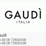 Gaudi'